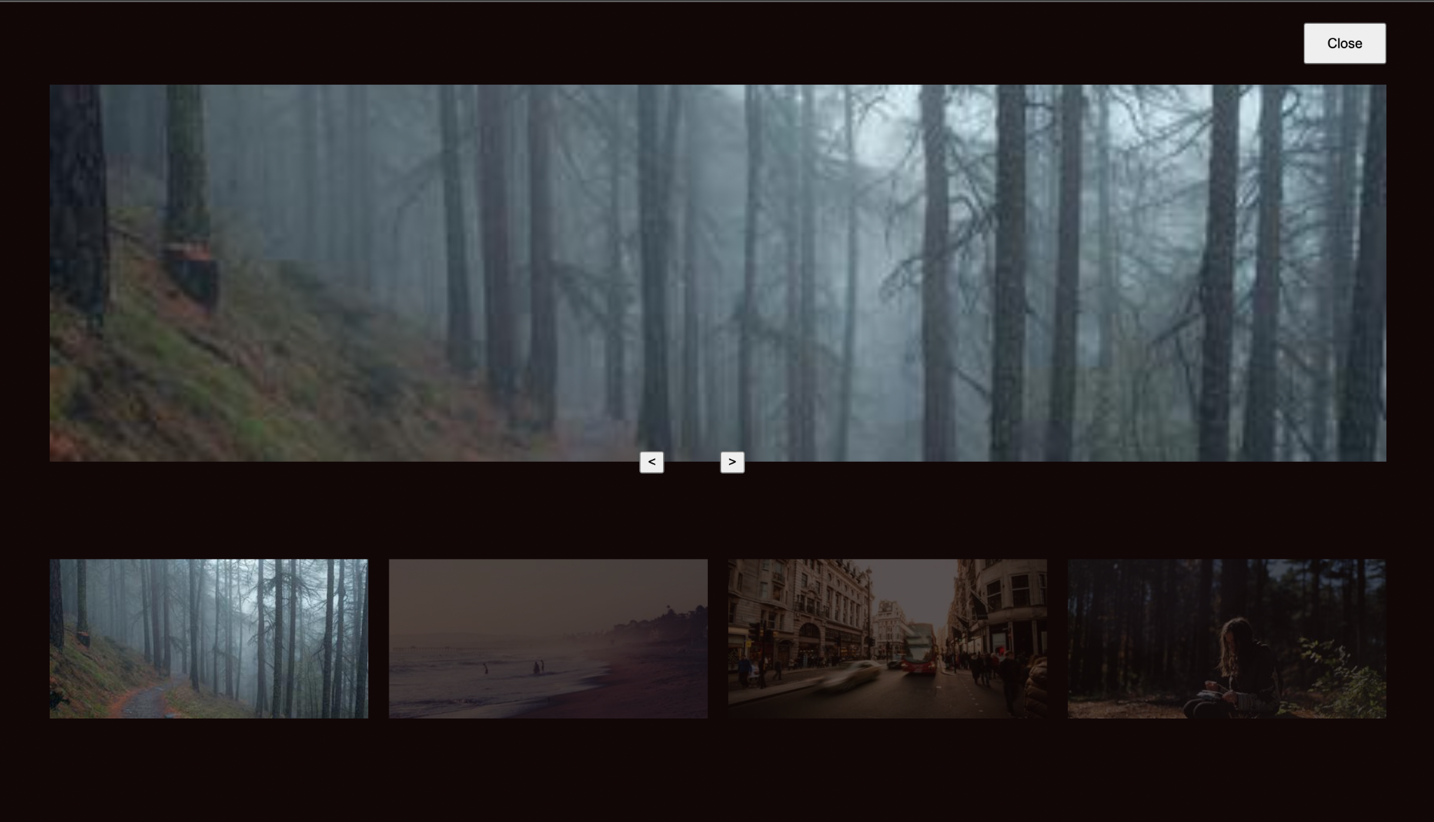 Lightbox, 1 selected large image with 4 to choose from below it.